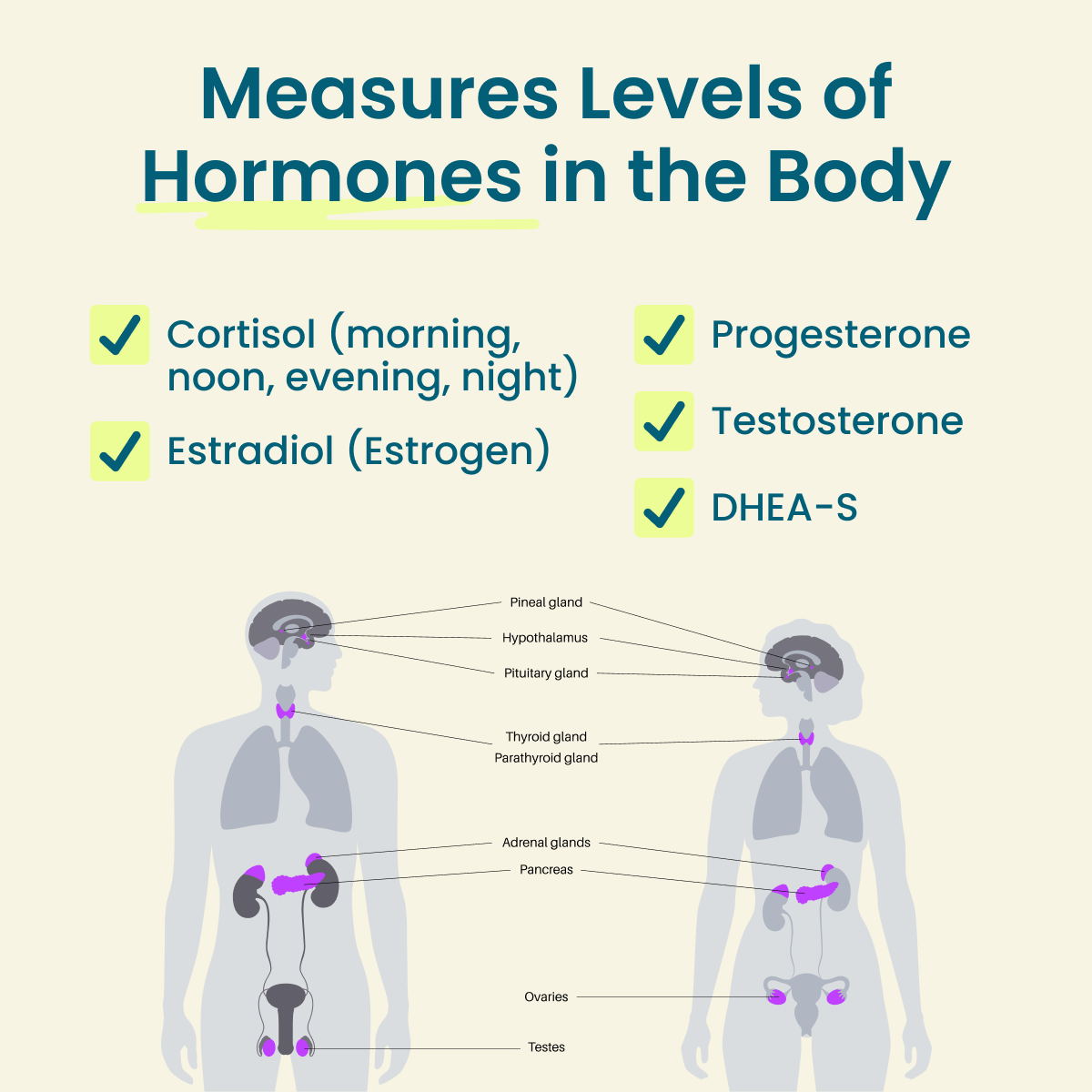 Reveal Your Hormone Balance Test