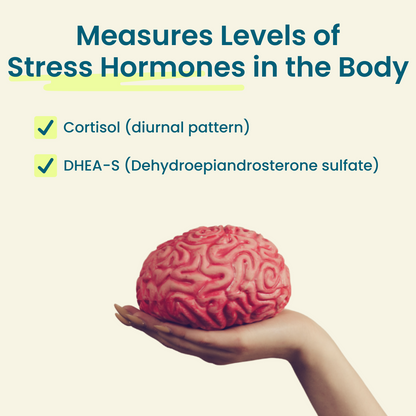 Reveal Your Stress Markers Test